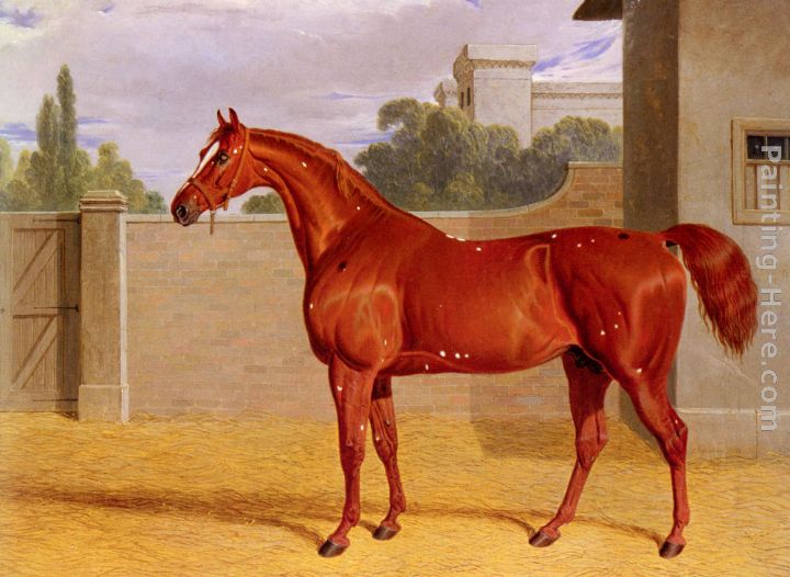 A Chestnut Racehorse in a Stable Yard painting - John Frederick Herring Snr A Chestnut Racehorse in a Stable Yard art painting